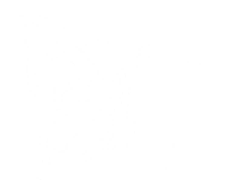 METAMORPHORCES Ltd logo