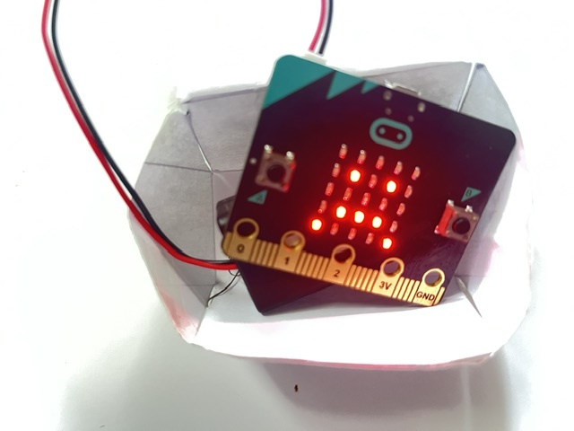 Unhappy microbit test pilot after a rough flight